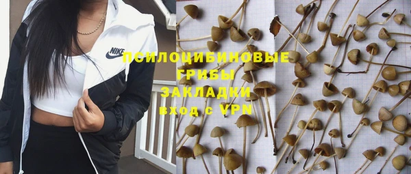 ГАЛЛЮЦИНОГЕННЫЕ ГРИБЫ Алзамай