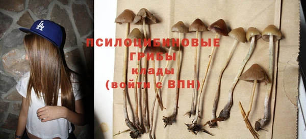 ГАЛЛЮЦИНОГЕННЫЕ ГРИБЫ Алзамай