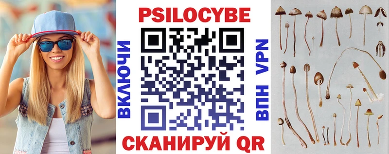 Псилоцибиновые грибы мицелий  ссылка на мегу зеркало  Жуков 